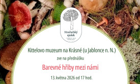 Barevné hřiby mezi námi